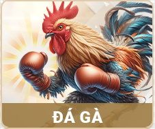 Đá gà ZK88
