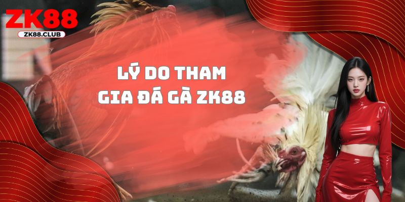 Lý do tham gia đá gà ZK88